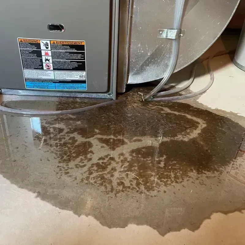 Appliance Leak Cleanup in Auberry, CA